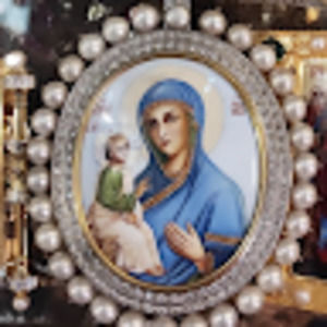 Meet your Posher, Rob